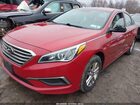 2017 Hyundai Sonata   Красный vin: 5NPE24AF8HH489272
