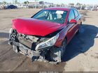 2017 Hyundai Sonata   Красный vin: 5NPE24AF8HH494732