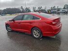2017 Hyundai Sonata Base Бордовый vin: 5NPE24AF8HH578159