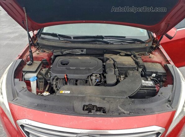 5NPE24AF8HH578159 2017 HYUNDAI SONATA Бордовый Вид задней части салона