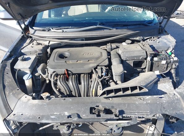 5NPE24AF8JH613823 2018 HYUNDAI SONATA Blue Widok z tyłu