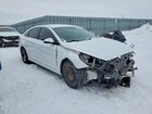2019 Hyundai Sonata Se Белый vin: 5NPE24AF8KH742386