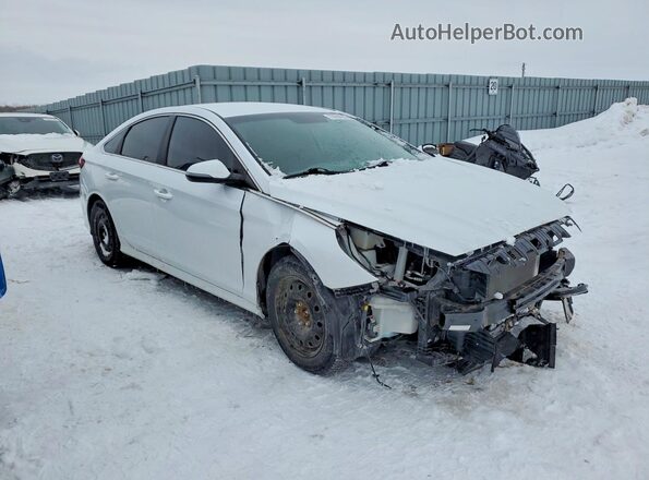 5NPE24AF8KH742386 2019 HYUNDAI SONATA Белый Передняя правая четверть