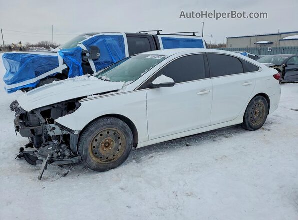 5NPE24AF8KH742386 2019 HYUNDAI SONATA Белый Передняя левая четверть