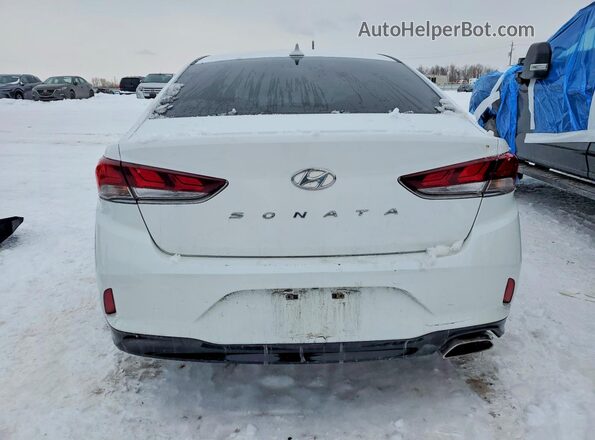 5NPE24AF8KH742386 2019 HYUNDAI SONATA Белый Вид сзади