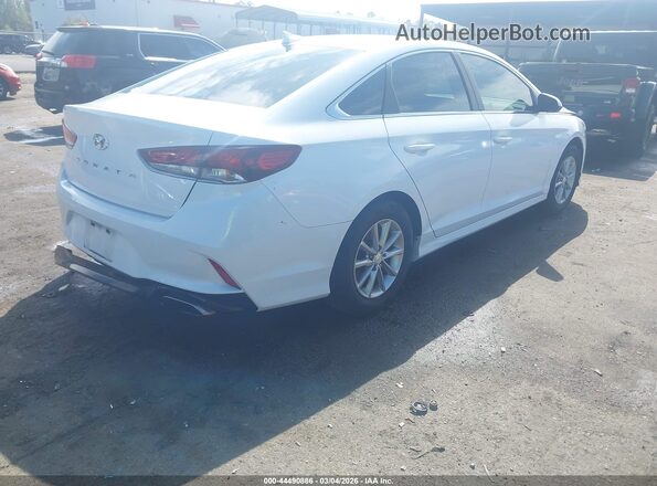 5NPE24AF8KH776067 2019 HYUNDAI SONATA Белый Задняя правая четверть