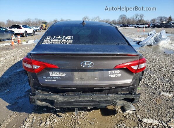 5NPE24AF9GH407337 2016 HYUNDAI SONATA Charcoal Rear view