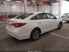 2017 Hyundai Sonata   White vin: 5NPE24AFXHH567504