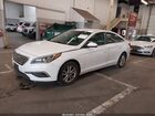 2017 Hyundai Sonata   White vin: 5NPE24AFXHH567504