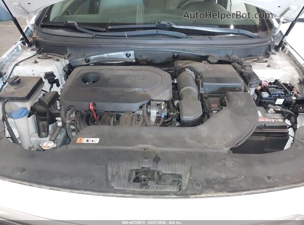 5NPE24AFXHH567504 2017 HYUNDAI SONATA White Rear view
