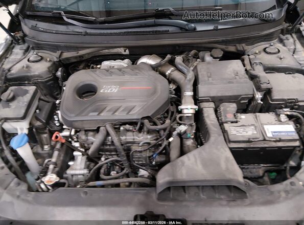5NPE34AB9KH744643 2019 HYUNDAI SONATA Black Widok z tyłu