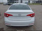 2017 Hyundai Sonata Sport 2.0t Белый vin: 5NPE34ABXHH507412