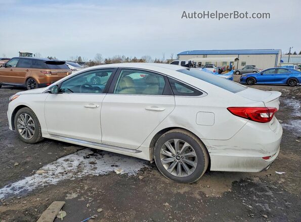 5NPE34AF0GH287554 2016 HYUNDAI SONATA Белый Задняя левая четверть