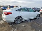 2016 Hyundai Sonata Sport Белый vin: 5NPE34AF0GH287554