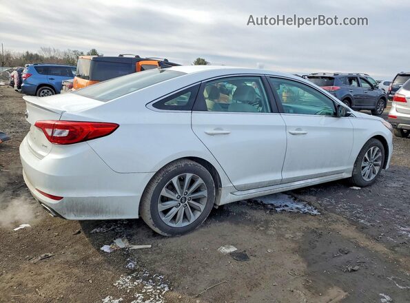 5NPE34AF0GH287554 2016 HYUNDAI SONATA Белый Задняя правая четверть