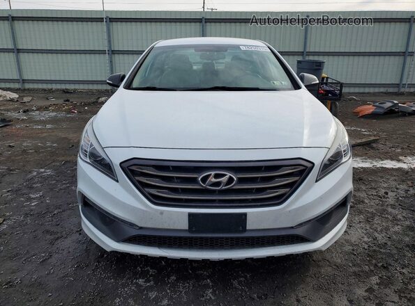 5NPE34AF0GH287554 2016 HYUNDAI SONATA Белый Вид спереди