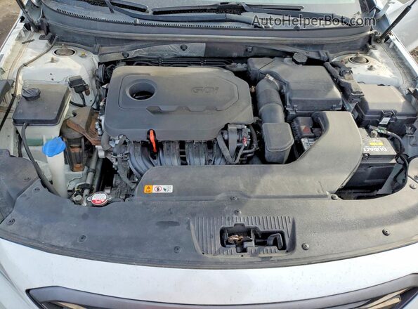 5NPE34AF0GH287554 2016 HYUNDAI SONATA Белый Вид задней части салона