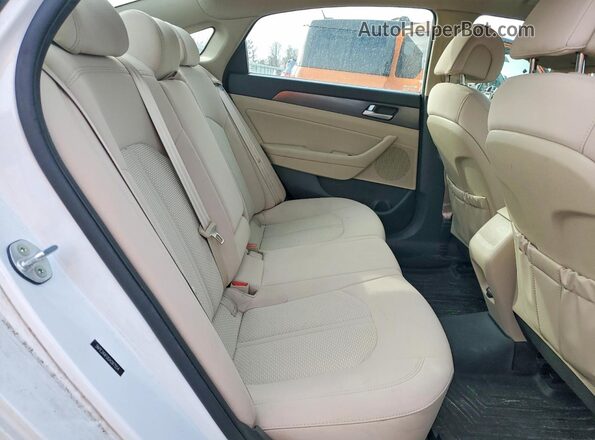 5NPE34AF0GH287554 2016 HYUNDAI SONATA Белый Вид задних сидений