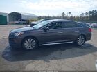 2016 Hyundai Sonata Sport Коричневый vin: 5NPE34AF0GH362298