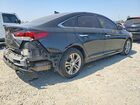 2019 Hyundai Sonata Sel Black vin: 5NPE34AF0KH761950 2019 Hyundai Sonata Sel Black vin: 5NPE34AF0KH761950