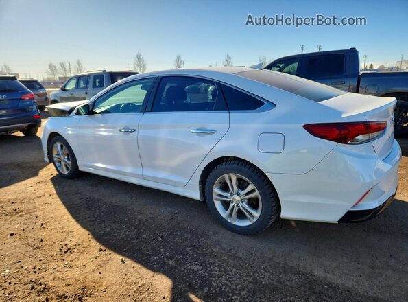 5NPE34AF0KH803887 2019 HYUNDAI SONATA White Tył lewy
