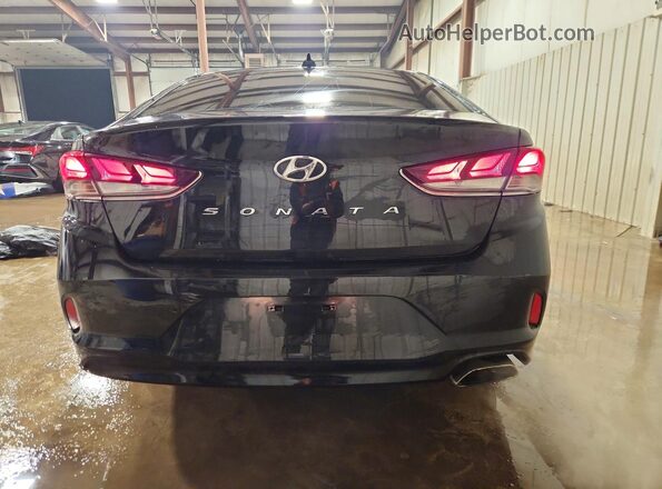 5NPE34AF1KH736717 2019 HYUNDAI SONATA Черный Вид сзади
