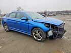 2019 Hyundai Sonata Sport Blue vin: 5NPE34AF2KH759892