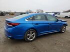 2019 Hyundai Sonata Sport Blue vin: 5NPE34AF2KH759892