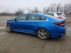 2019 Hyundai Sonata Sport Blue vin: 5NPE34AF2KH759892
