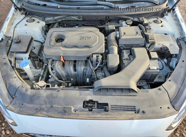 5NPE34AF2KH782699 2019 HYUNDAI SONATA Белый Вид задней части салона