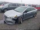2016 Hyundai Sonata Limited Gray vin: 5NPE34AF3GH348976