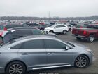 2016 Hyundai Sonata Limited Gray vin: 5NPE34AF3GH348976