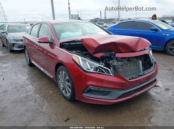 5NPE34AF4GH287573 2016 HYUNDAI SONATA Красный Передняя правая четверть