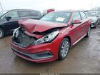 2016 Hyundai Sonata Sport Красный vin: 5NPE34AF4GH287573