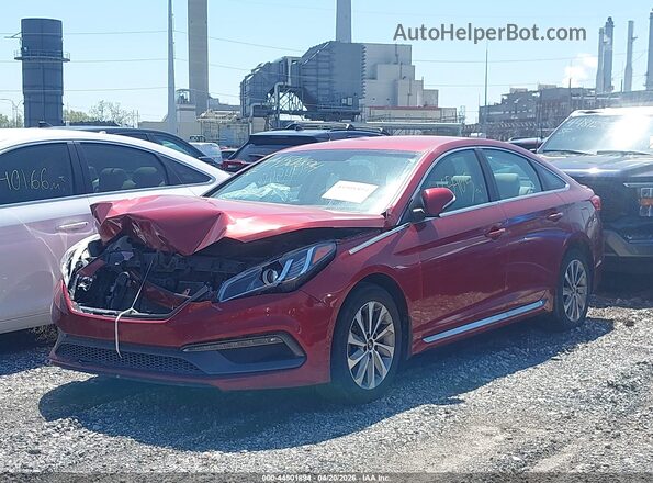 5NPE34AF4GH287573 2016 HYUNDAI SONATA Красный 