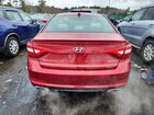 2016 Hyundai Sonata Sport Red vin: 5NPE34AF4GH351210