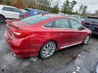 2016 Hyundai Sonata Sport Red vin: 5NPE34AF4GH351210