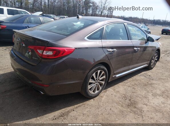 5NPE34AF4GH429081 2016 HYUNDAI SONATA Gray Tył prawy