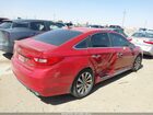 2017 Hyundai Sonata Sport Red vin: 5NPE34AF4HH567396 2017 Hyundai Sonata Sport Red vin: 5NPE34AF4HH567396