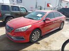 2017 Hyundai Sonata Sport Red vin: 5NPE34AF4HH567396 2017 Hyundai Sonata Sport Red vin: 5NPE34AF4HH567396