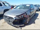2019 Hyundai Sonata Sel Gray vin: 5NPE34AF4KH748036