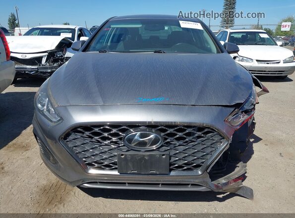 5NPE34AF4KH748036 2019 HYUNDAI SONATA Gray Սալոնի հետևի տեսք
