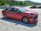 2019 Hyundai Sonata Sel Red vin: 5NPE34AF4KH813600 2019 Hyundai Sonata Sel Red vin: 5NPE34AF4KH813600