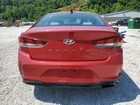 2019 Hyundai Sonata Sel Red vin: 5NPE34AF4KH813600 2019 Hyundai Sonata Sel Red vin: 5NPE34AF4KH813600