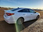 2016 Hyundai Sonata Sport White vin: 5NPE34AF5GH372101