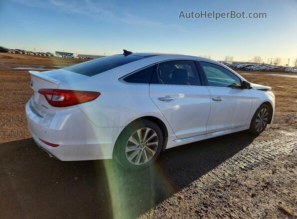 5NPE34AF5GH372101 2016 HYUNDAI SONATA White Հետևի աջ