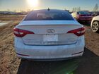2016 Hyundai Sonata Sport White vin: 5NPE34AF5GH372101