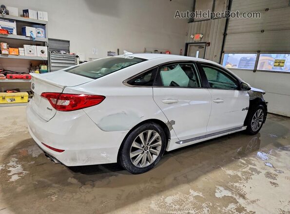 5NPE34AF6HH572633 2017 HYUNDAI SONATA Белый Задняя правая четверть