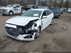 2019 Hyundai Sonata Sel White vin: 5NPE34AF6KH779224