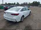 2019 Hyundai Sonata Sel White vin: 5NPE34AF6KH779224